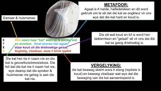 Huiskat  Elizabeth Eybers matric Afrikaans FAL poem  explanation🐈 [upl. by Zinn989]