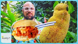 JACKFRUIT PULLED PORK  JACKFRUIT IS A VEGAN MEAT SUBSTITUTE  Episode 123 [upl. by Bekelja]