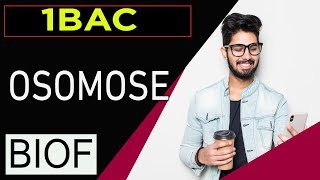 svt 1bac français international maroc plasmolyse et turgescence et osmose [upl. by Pillyhp]