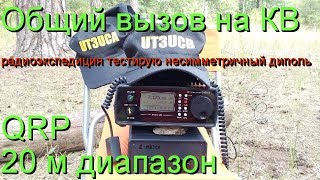 Тест антенна несимметричный диполь 8010м в условиях поля QRP 56 ВаттНа общий вызов [upl. by Acimad]