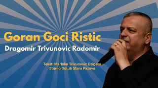 Goran Goci Ristic  Dragomir Trivunovic Radomir Offical Audio [upl. by Aneel]