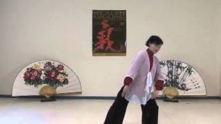 Health Qigong  Ba duan Jin  Eight Pieces of Brocade [upl. by Clausen570]