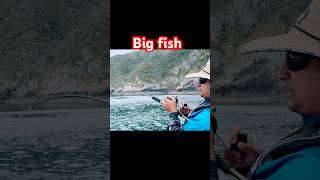 Big fish on… Makaira 15… music hiphop fishing live trending viralshorts northland ecfish [upl. by Blackmun387]