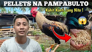 Paano Patabain  Pellet na Pampataba  Peejay Vergara [upl. by Asilehs431]