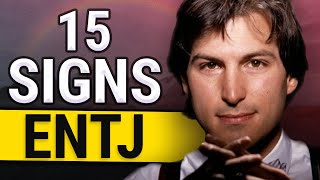 15 Signs Youre an ENTJ  The Commander [upl. by Burrton]