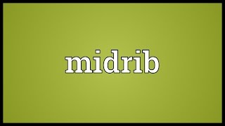 Midrib Meaning [upl. by Biggs]