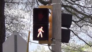 12 inch Incandescent Durasig Pedestrian Signal [upl. by Enilesoj]