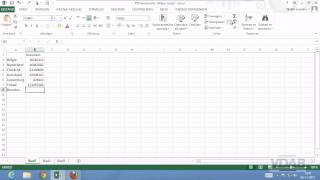 Excel 2013116Totalen [upl. by Aisanahta387]