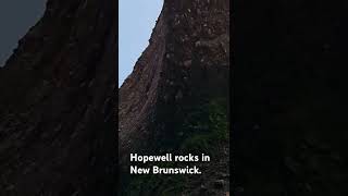 Hopewell rocks [upl. by Nilhsa]