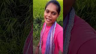 tum ban jao chay ki pati short video [upl. by Weidman]