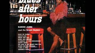 Elmore James amp The Broom Dusters  Long Tall Woman [upl. by Ayotas]