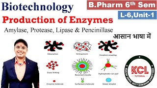 Production of Enzymes  Amylase Lipase Protease amp Others  L6 Unit1 Biotechnology 6th Sem [upl. by Aicilec28]