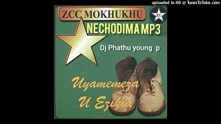 Nechodima Zcc Amapiano Remix by Dj Phathu Young P [upl. by Anirahc]