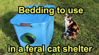 Bedding to use in a feral cat shelter [upl. by Asiuol]