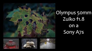 Olympus 50mm Zuiko f1 8 on a Sony A7s [upl. by Eizzik]