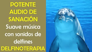 🐬 DELFINOTERAPIA  Músico Terapia con Sonidos de DELFINES [upl. by Modesty]