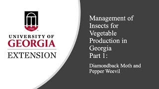 Management of Insects for Vegetable Production in Georgia Part 1 [upl. by Ardisj496]