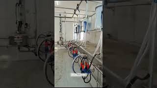 KURTSAN 2x6 ELEKTRONİK BEYİNLİ SAĞIMHANE  ADANA ULAŞ TARIM kurtsan sagimhane quality farming [upl. by Haya]