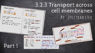 EASY REVISION AQA ALevel Biology 323 Transport across cell membranes by SpecTransfer  PART 12 [upl. by Ikkaj]