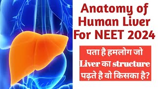 Structure location and Anatomy of Liver for NEET with advancement in knowledge by Abhay Sir [upl. by Harley]