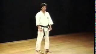 Heian Shodan  Shotokan SKIF  Hirokazu Kanazawa [upl. by Shelah175]