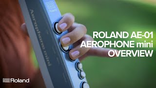 Roland AE01 Aerophone mini Overview [upl. by Yessej]