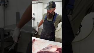 Grain Fed Beef Brisket 🔪 shorts youtubeshorts beef brisket viral video meat [upl. by Rayner109]