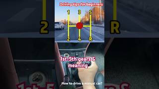 how to drive a manual car  how to drive a car car cars cardriving driving drivingfails shorts [upl. by Stu188]