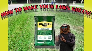 Fertilizer That Will Make Your Lawn Green [upl. by Etnemelc]