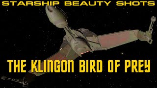 16 Beauty Shots The Klingon Bird of Prey Blade of Beauty [upl. by Stochmal]