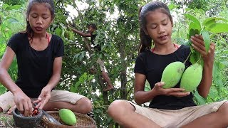 Survival skills Find amp meet natural mango for food  Green mango eating delicious 21 [upl. by Belia484]