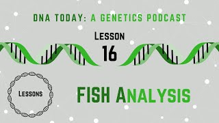 DNA Today Podcast Lesson 16 FISH Analysis A Cytogenetic Analysis [upl. by Borries217]