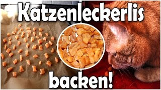 Katzenleckerlis selber backen DIY [upl. by Ytnom]