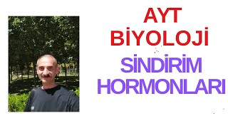 sindirim hormonları sindirim sistemi AYT biyoloji [upl. by Nyroc]