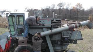 Unloading the Gleaner Model K Combine with 2 row corn head in HD [upl. by Kired]