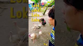 Grabe mga pabo sinabihan ako ng loko loko loko loko funnyvideo [upl. by Emya]