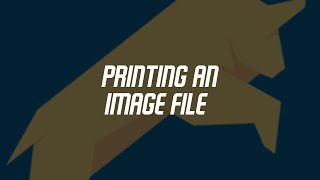 Bullzip Printing an image [upl. by Nivad877]