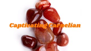 Captivating Carnelian [upl. by Kruter]