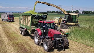 GPS Häckseln I Grünroggen I Krone BiG X 880 I John Deere Case IH [upl. by Edik]