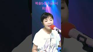 회룡포 노래방애창곡 노래방 트로트 kpop 쇼츠 [upl. by Tomlinson]