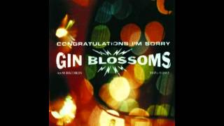 Gin Blossoms  Competition Smile [upl. by Binette]