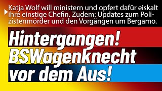 Hintergangen verraten und eingebrochen Wagenknecht Bündnis vor dem aus amp Rouven Laur amp Bergamo [upl. by Leahcimsemaj192]