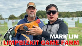 MARK LIMPBIZKIT  Big farm in the Philippines visit breeding chicken farming [upl. by Blackington]