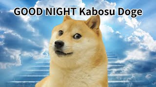 Goodnight Kabosu Doge [upl. by Anohsal]