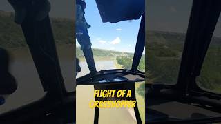 Grasshopper flightpilot aviation helicopterpilot airforce helicopter shorts [upl. by Lathan]