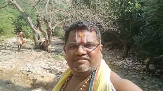 Penchalakona Temple Today Rain Live Video Shorts NarasimhaSwamyShorts5 [upl. by Ynittirb979]