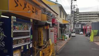 【ラーメン二郎全店制覇】ラーメン二郎 相模大野店  少なめブタラーメン  ニンニクアブラ [upl. by Lamar]