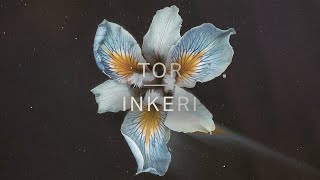 Tor  Inkeri Official Audio [upl. by Llekcm691]