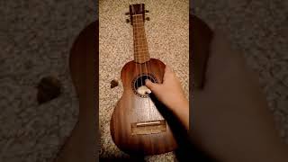 WHAT A TUNED UKULELE SHOULD SOUND LIKE [upl. by Aremaj]