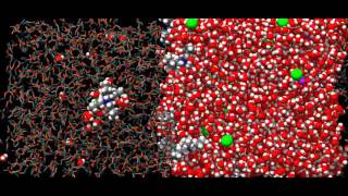 LiquidLiquid PhaseTransfer Catalysis [upl. by Fortunato]